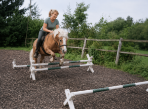Frau springt mit Pferd, Haflinger über Cavaletti
